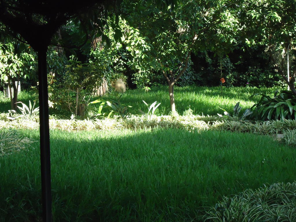 B&B Cottage Dei Consoli Sant'Agata Li Battiati Екстер'єр фото